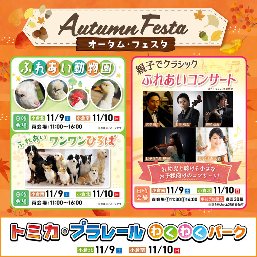 【11月イベント情報】Autumn Festa（オータムフェスタ）