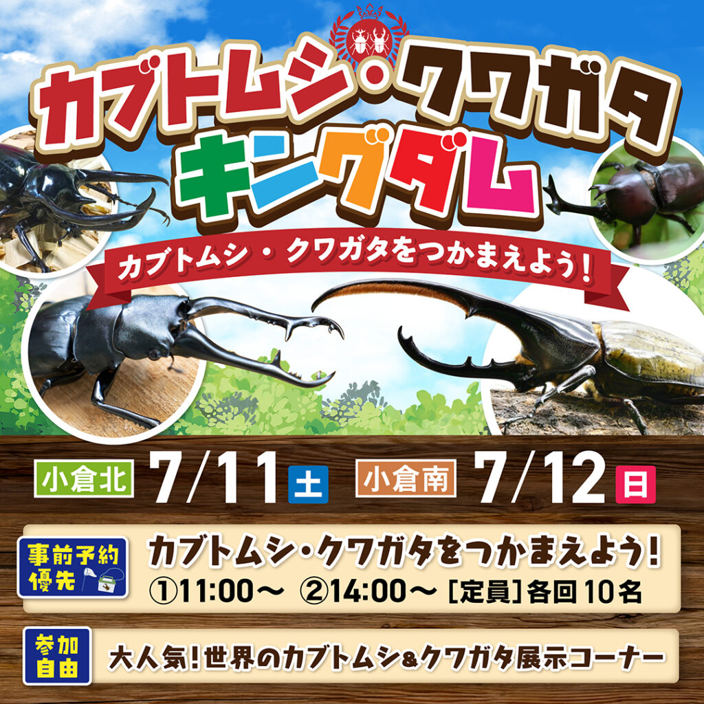 【事前予約受付中！】カブトムシ・クワガタ キングダム ～7/11(土)小倉北・7/12(日)小倉南～