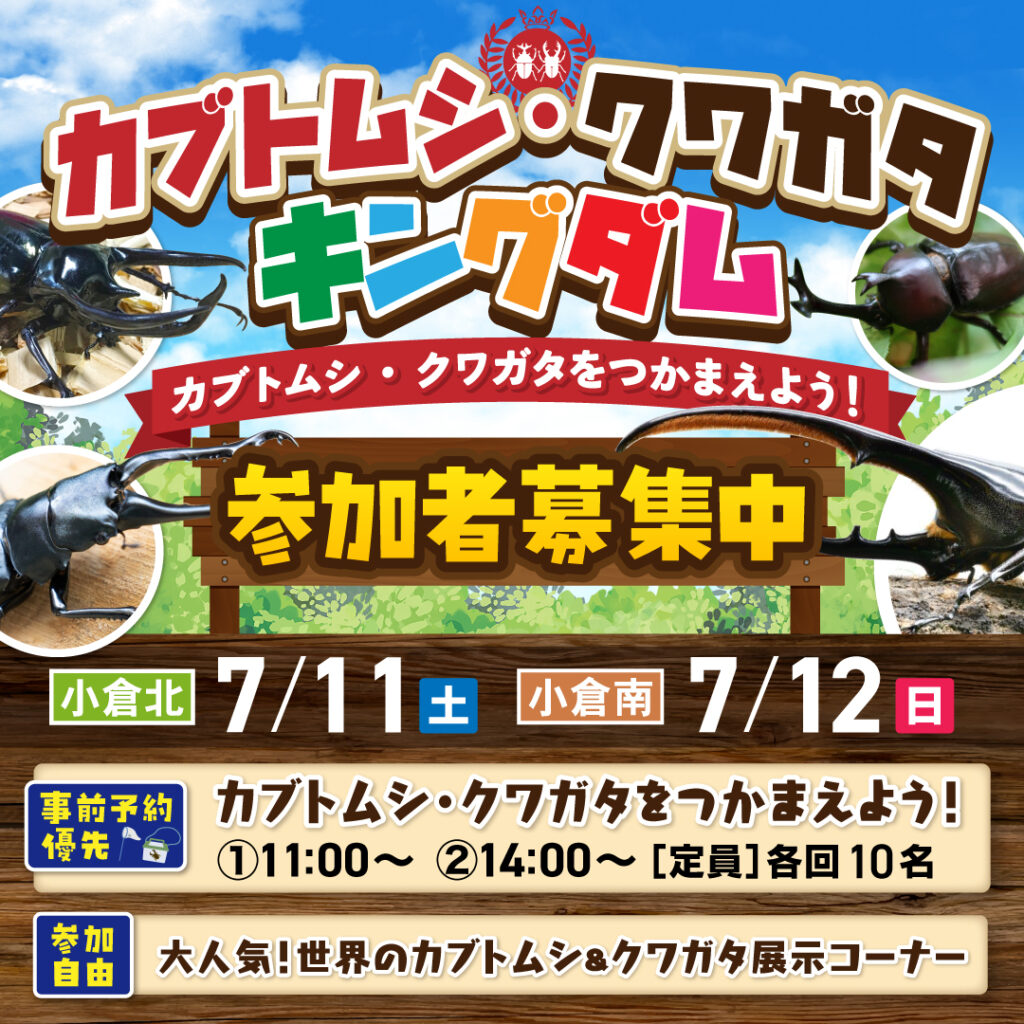 【事前予約受付中！】カブトムシ・クワガタ キングダム ～7/11(土)小倉北・7/12(日)小倉南～